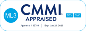 82789-IT Service and Development Projects - CMMI Services, Development - Maturity Level - 3